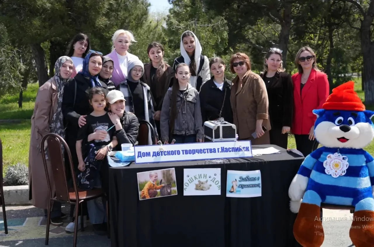 Акция "Кошкин дом"