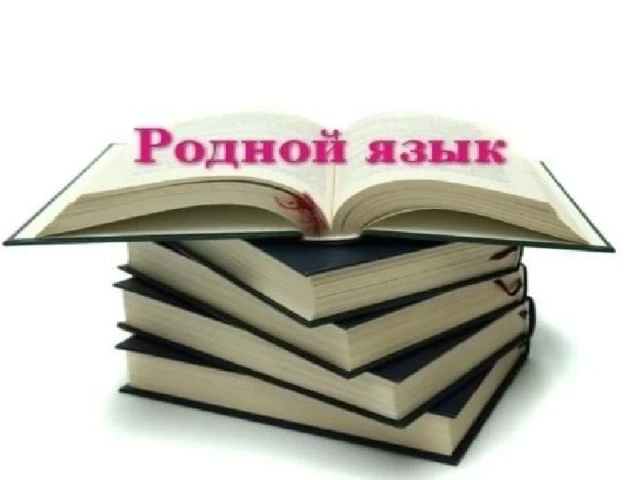 В Доргелинской СОШ №2 были организованы и успешно проведены открытые уроки по родному языку и литературе.