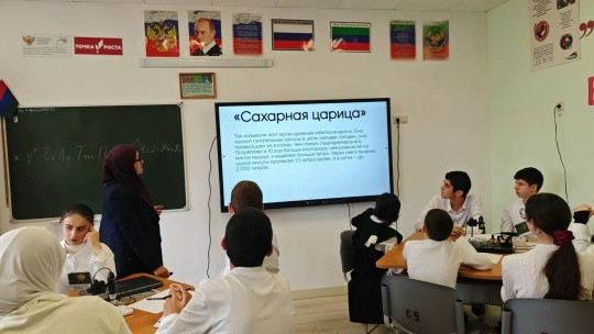 Развитие естественнонаучной грамотности обучающихся обсудили на выездном семинаре учителей биологии, химии, географии