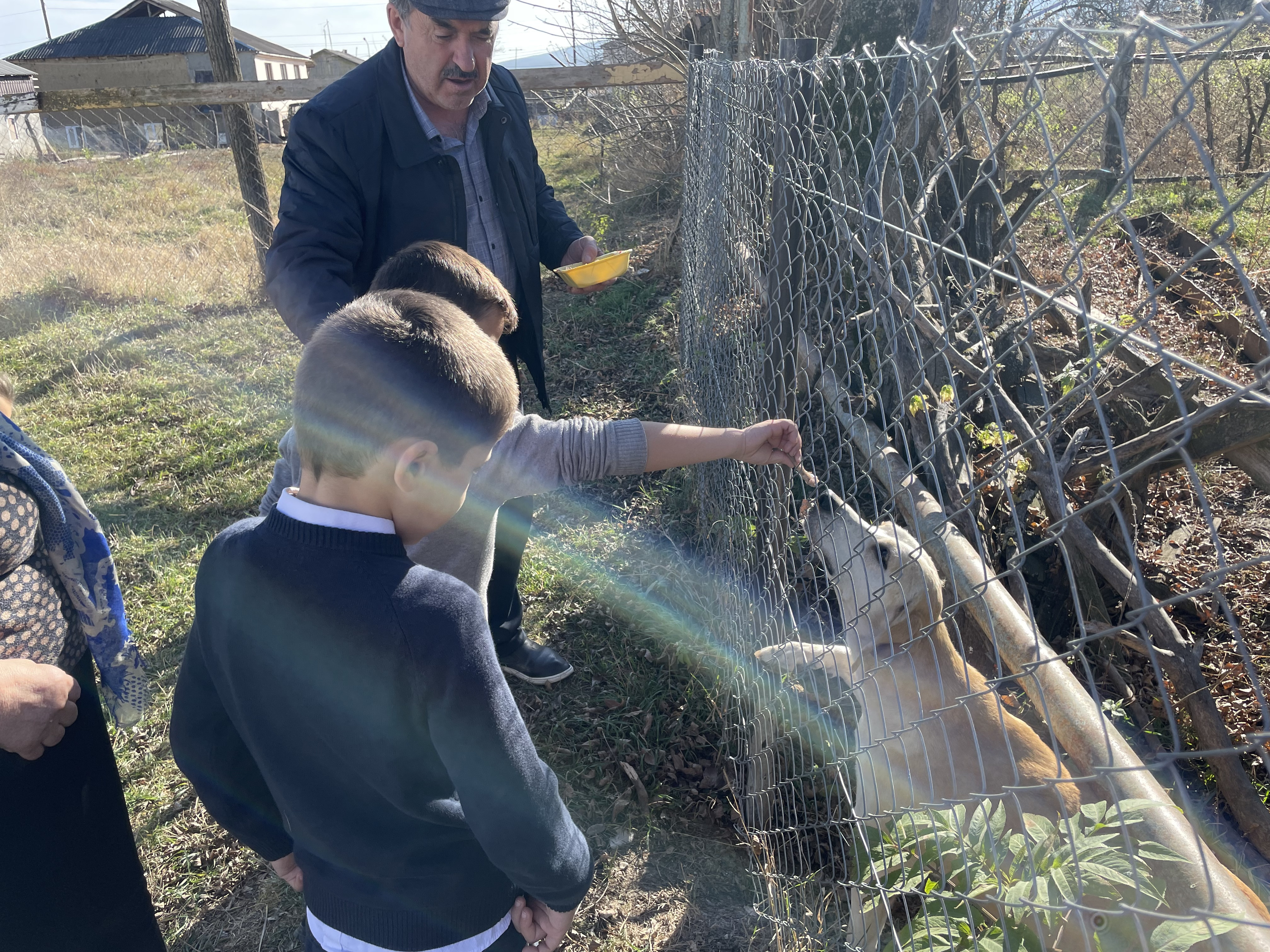 Гуманное отношении к животным Гуманное отношении к животным