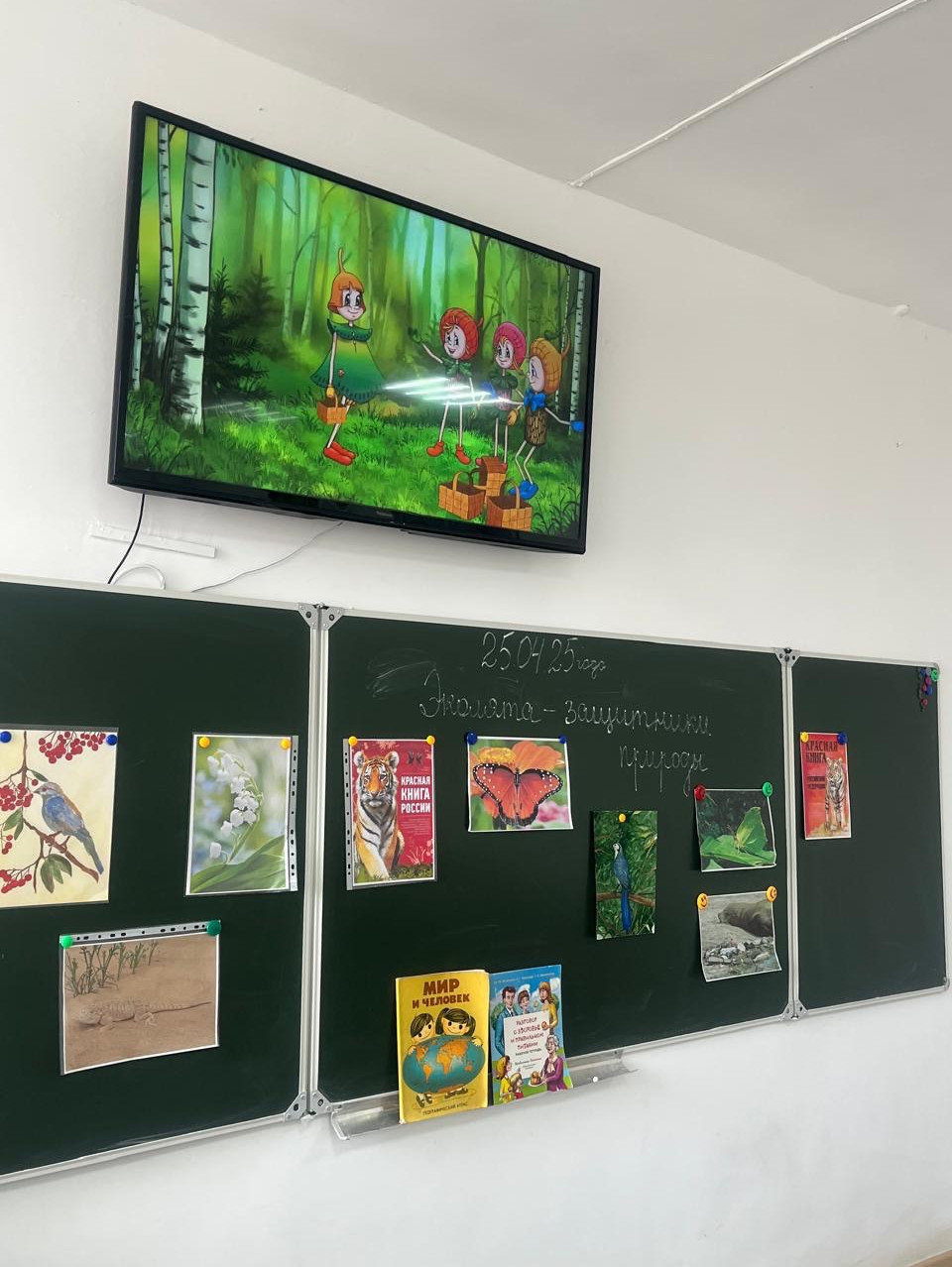 Всероссийский День Эколят Всероссийский День Эколят