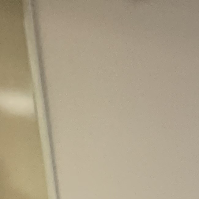 В этом году наша страна отмечает большую дату