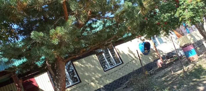 Воспитатель года -2023