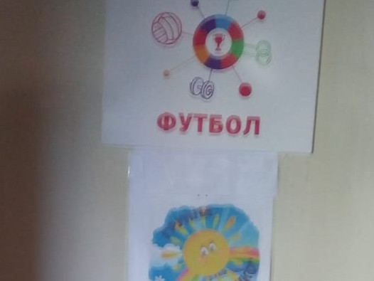Группа дополнительного образования по направлению "Физкультурно-спортивная- футбол"