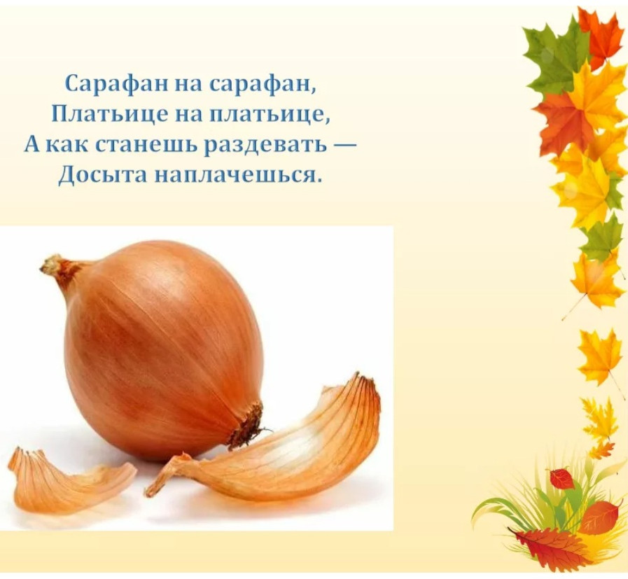 "Посадка лука"