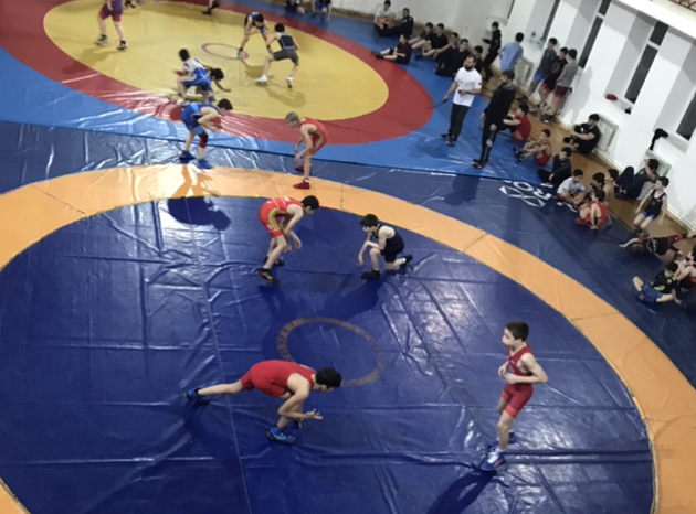 товарищеская встреча по вольной борьбе