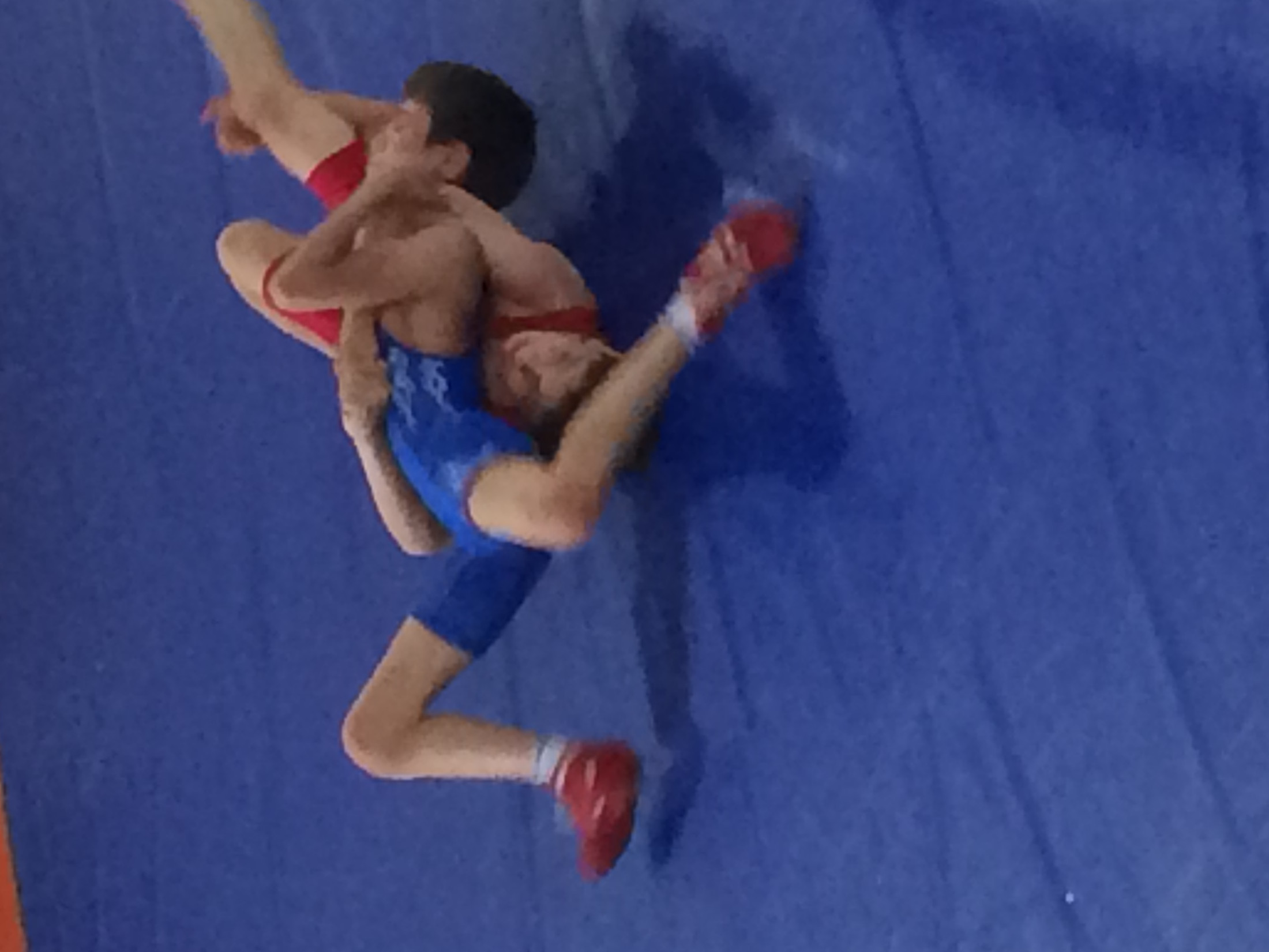 Республиканский турнир по вольной борьбе среди юношей