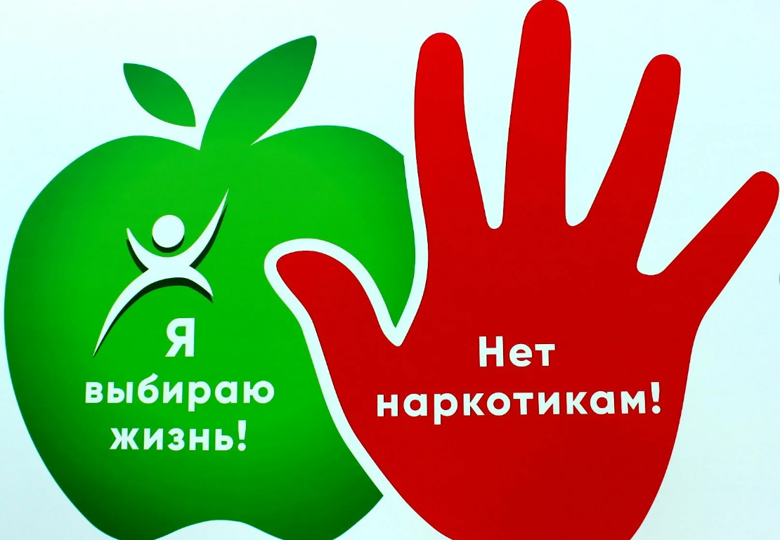 Профилактика