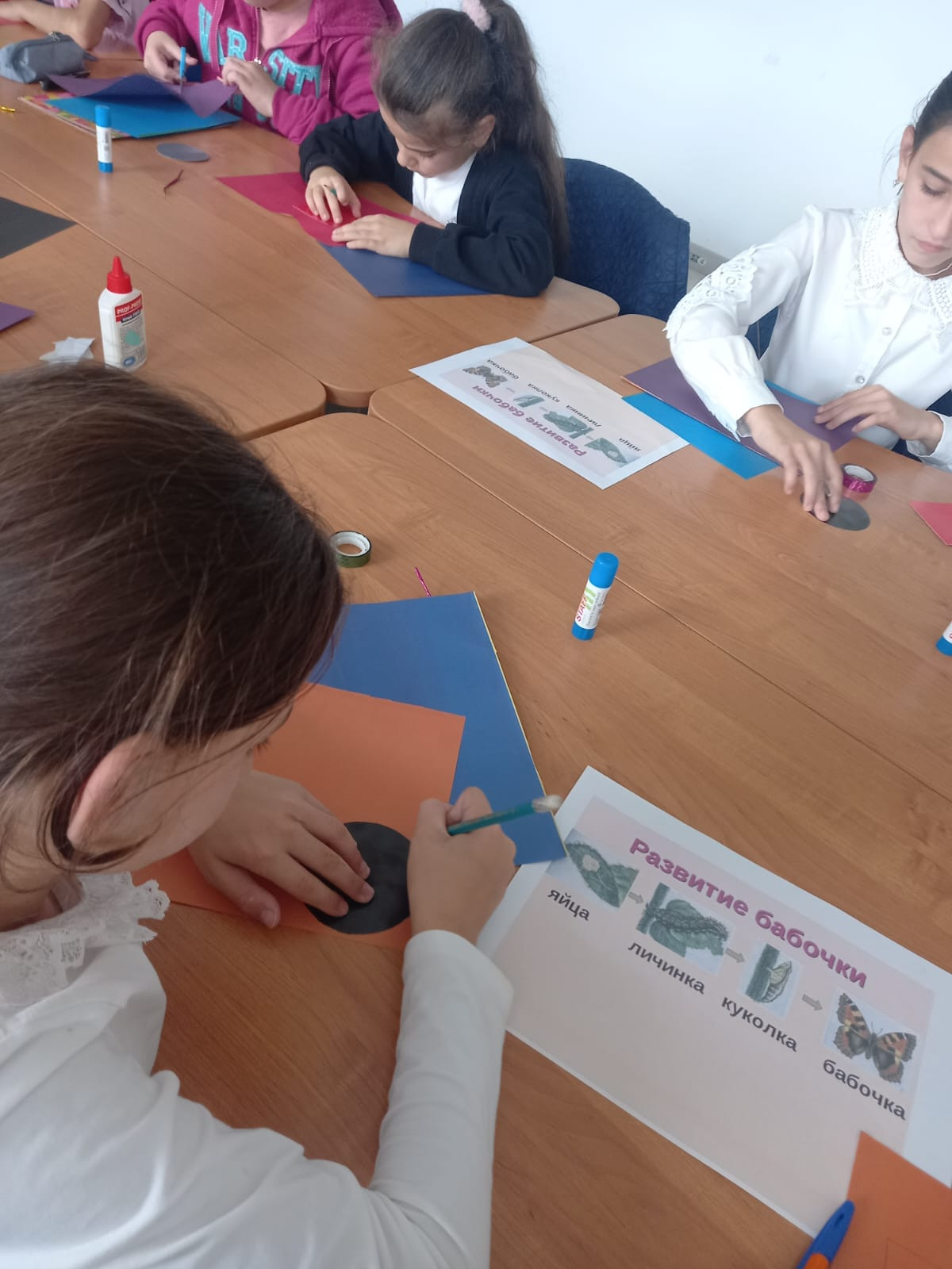 Открытое занятие педагога объединения "Друзья природы" МБУДО"РЦДТ" Ибрагимовой Л.Д. на тему "Бабочки"