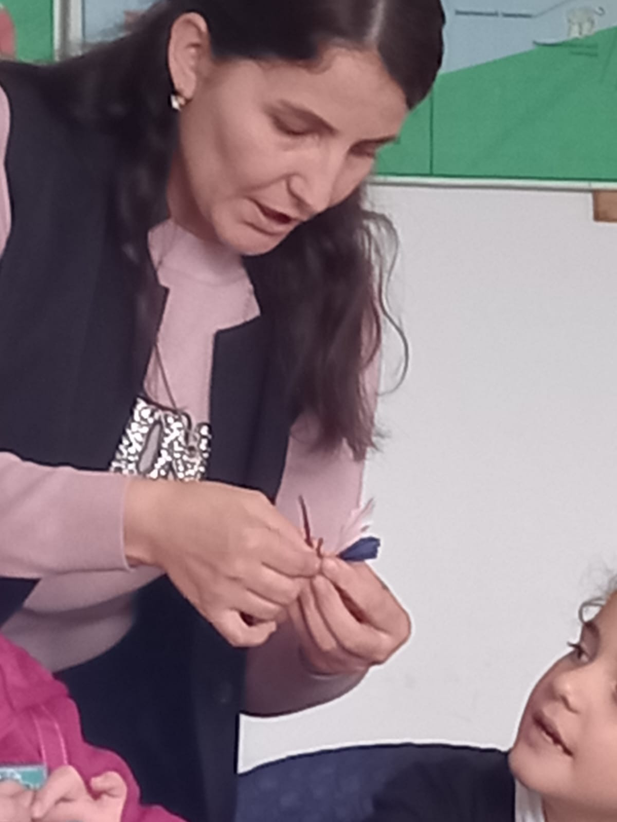 Открытое занятие педагога объединения "Друзья природы" МБУДО"РЦДТ" Ибрагимовой Л.Д. на тему "Бабочки"