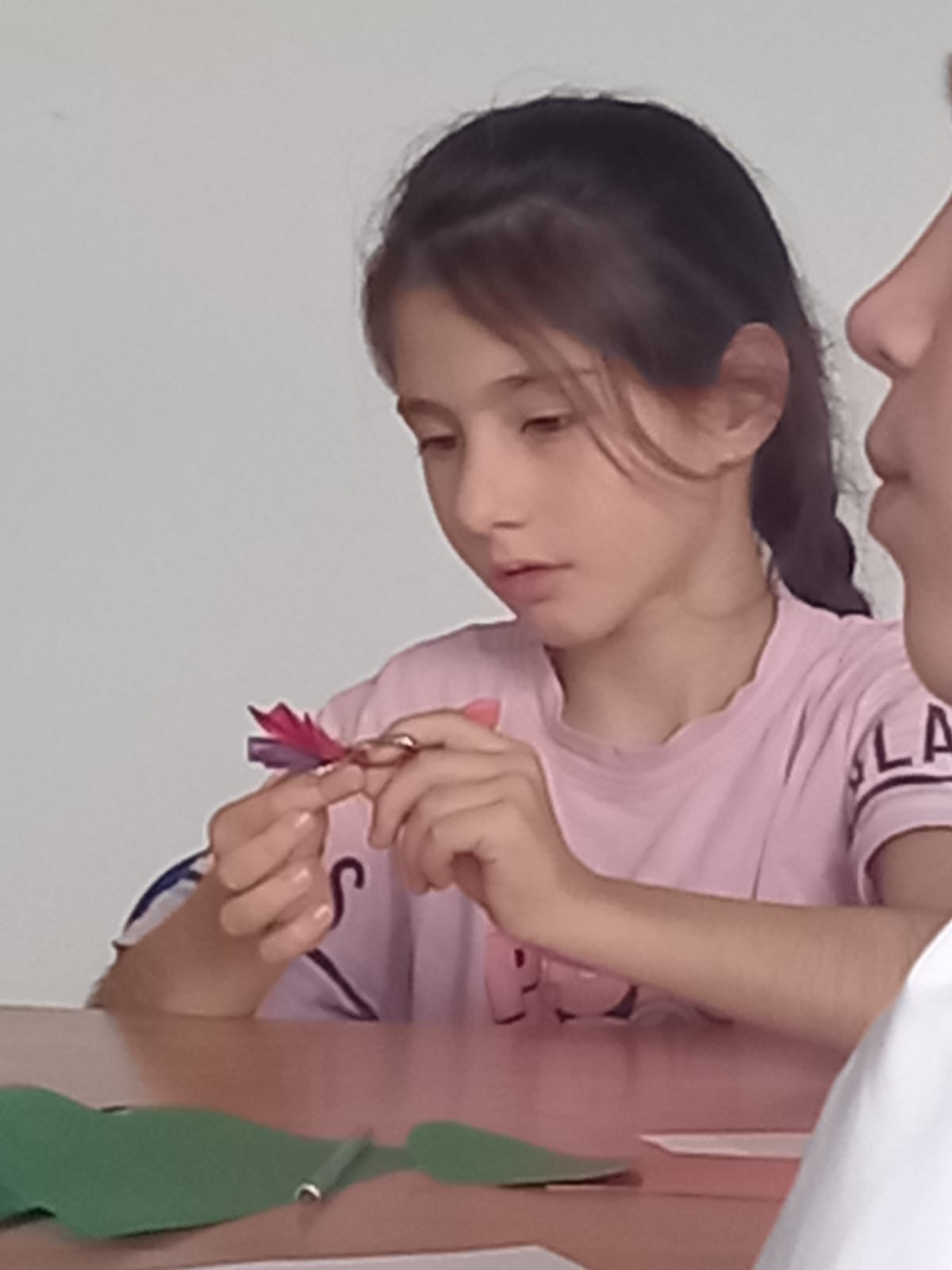 Открытое занятие педагога объединения "Друзья природы" МБУДО"РЦДТ" Ибрагимовой Л.Д. на тему "Бабочки"