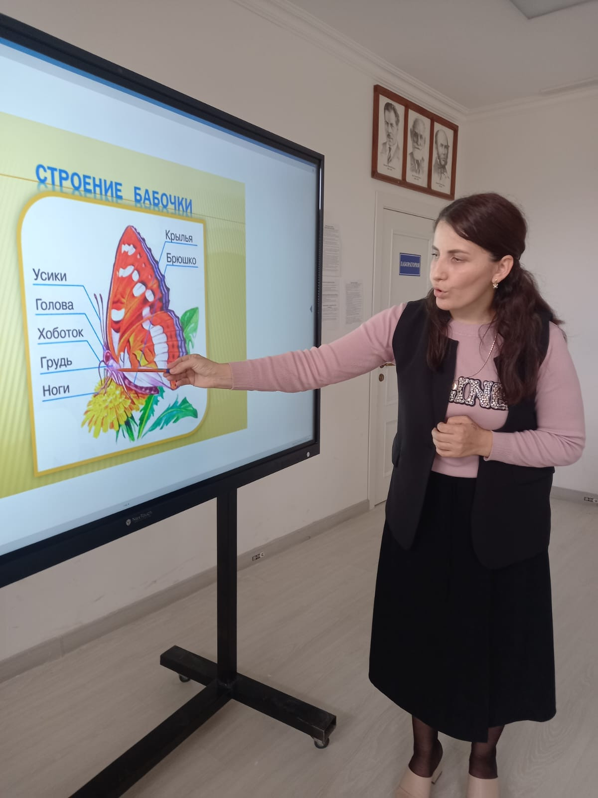 Открытое занятие педагога объединения "Друзья природы" МБУДО"РЦДТ" Ибрагимовой Л.Д. на тему "Бабочки"