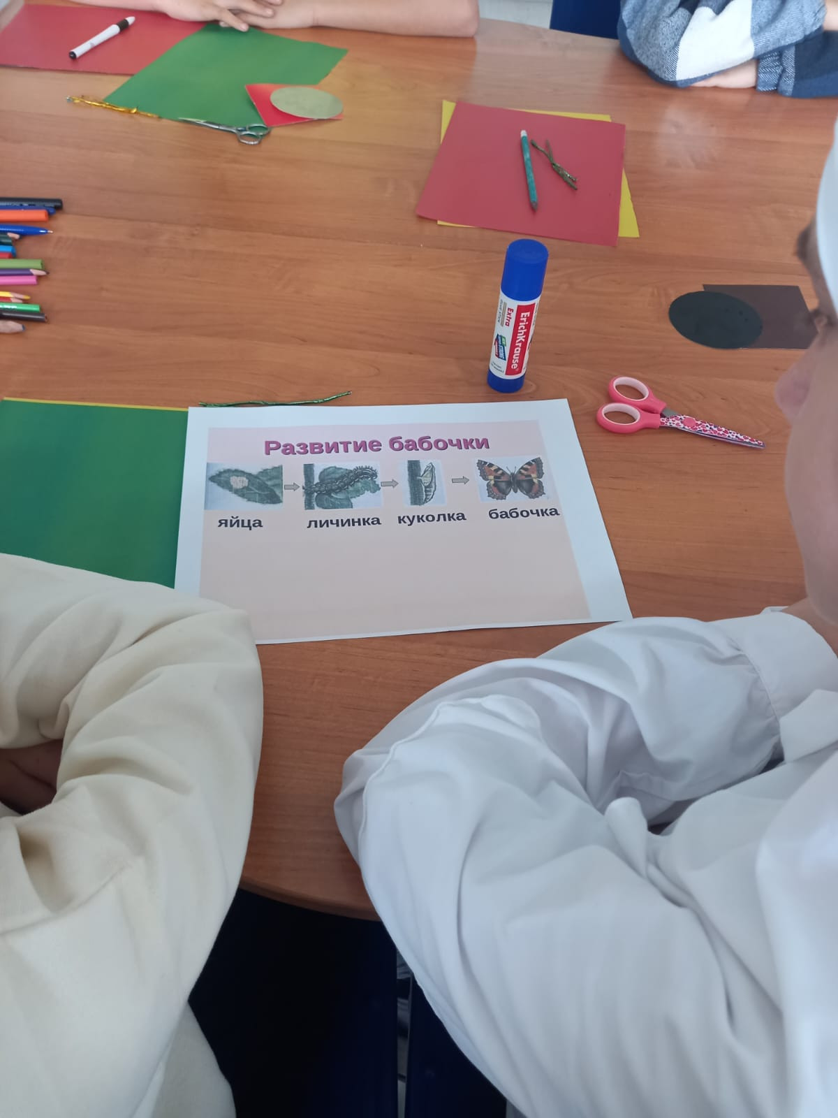 Открытое занятие педагога объединения "Друзья природы" МБУДО"РЦДТ" Ибрагимовой Л.Д. на тему "Бабочки"