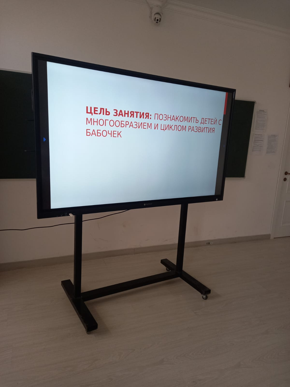 Открытое занятие педагога объединения "Друзья природы" МБУДО"РЦДТ" Ибрагимовой Л.Д. на тему "Бабочки"