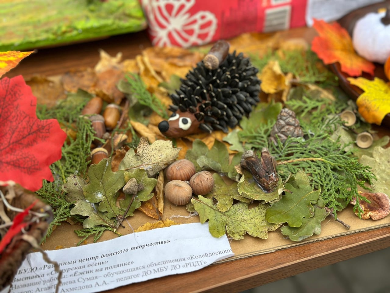 Районная выставка детских поделок "Самурская осень"