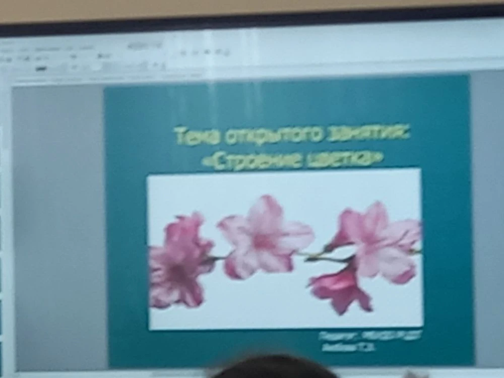 Открытое занятие педагога объединения "Мир растений" МБУДО "РЦДТ" Аюбовой Т.Э. на тему "Строение цветка"