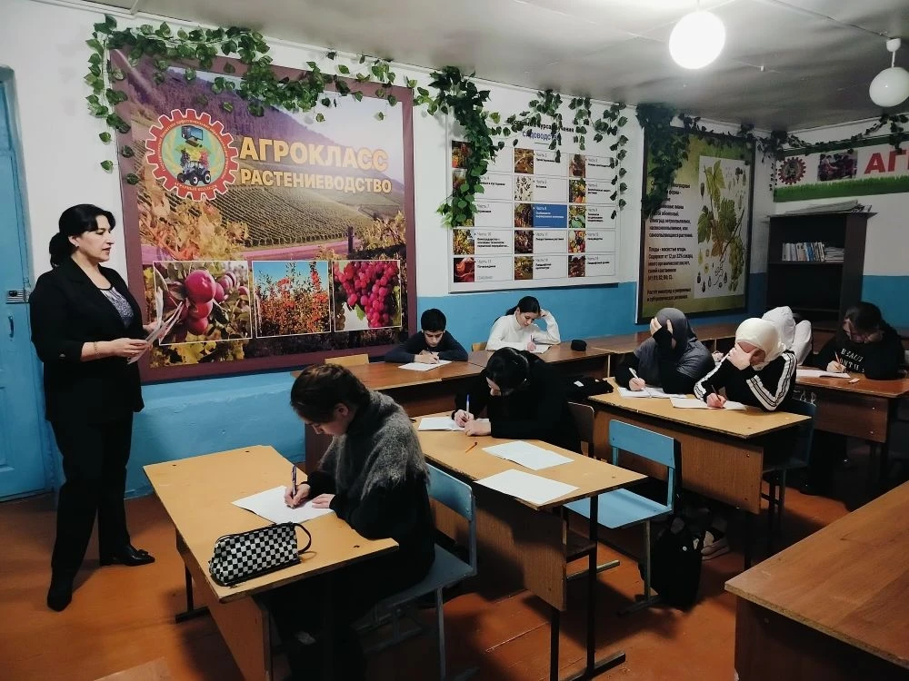 Занятие педагога  Рамазановой А,М. в объединении "Юный программист"  МБУДО "РЦДТ"