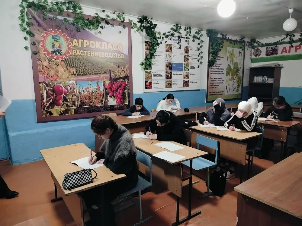 Занятие педагога  Рамазановой А,М. в объединении "Юный программист"  МБУДО "РЦДТ"