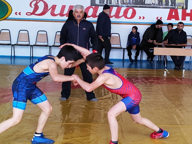 Вольная борьба