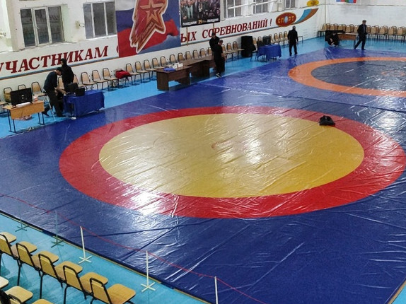 Вольная борьба