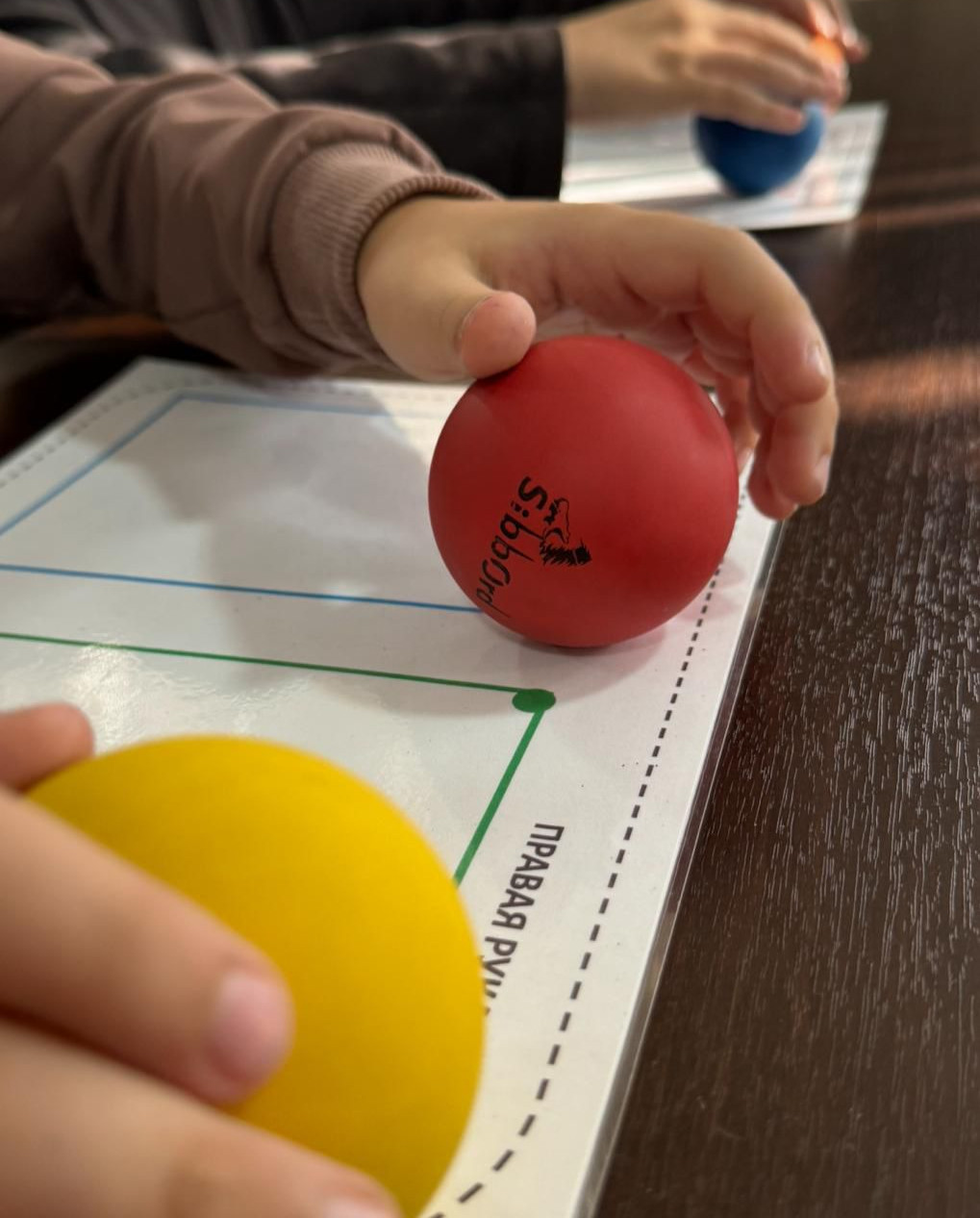 Нейрозанятия в школе ЧОУ СШ «Возрождение» Нейрозанятия в школе ЧОУ СШ «Возрождение»