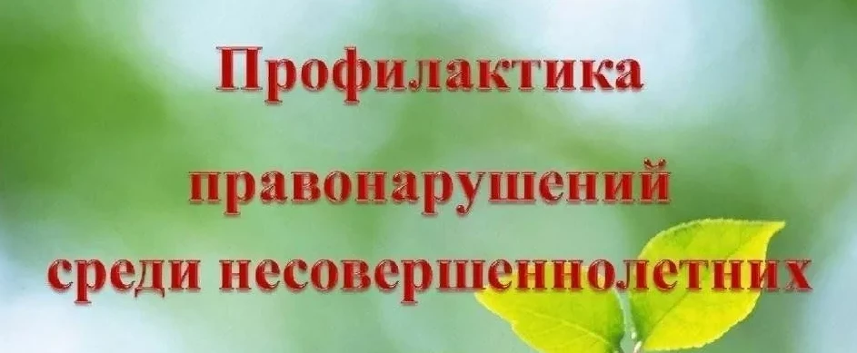 Наглядные материалы по профилактике правонарушений и преступлений несовершеннолетних. Наглядные материалы по профилактике правонарушений и преступлений несовершеннолетних.