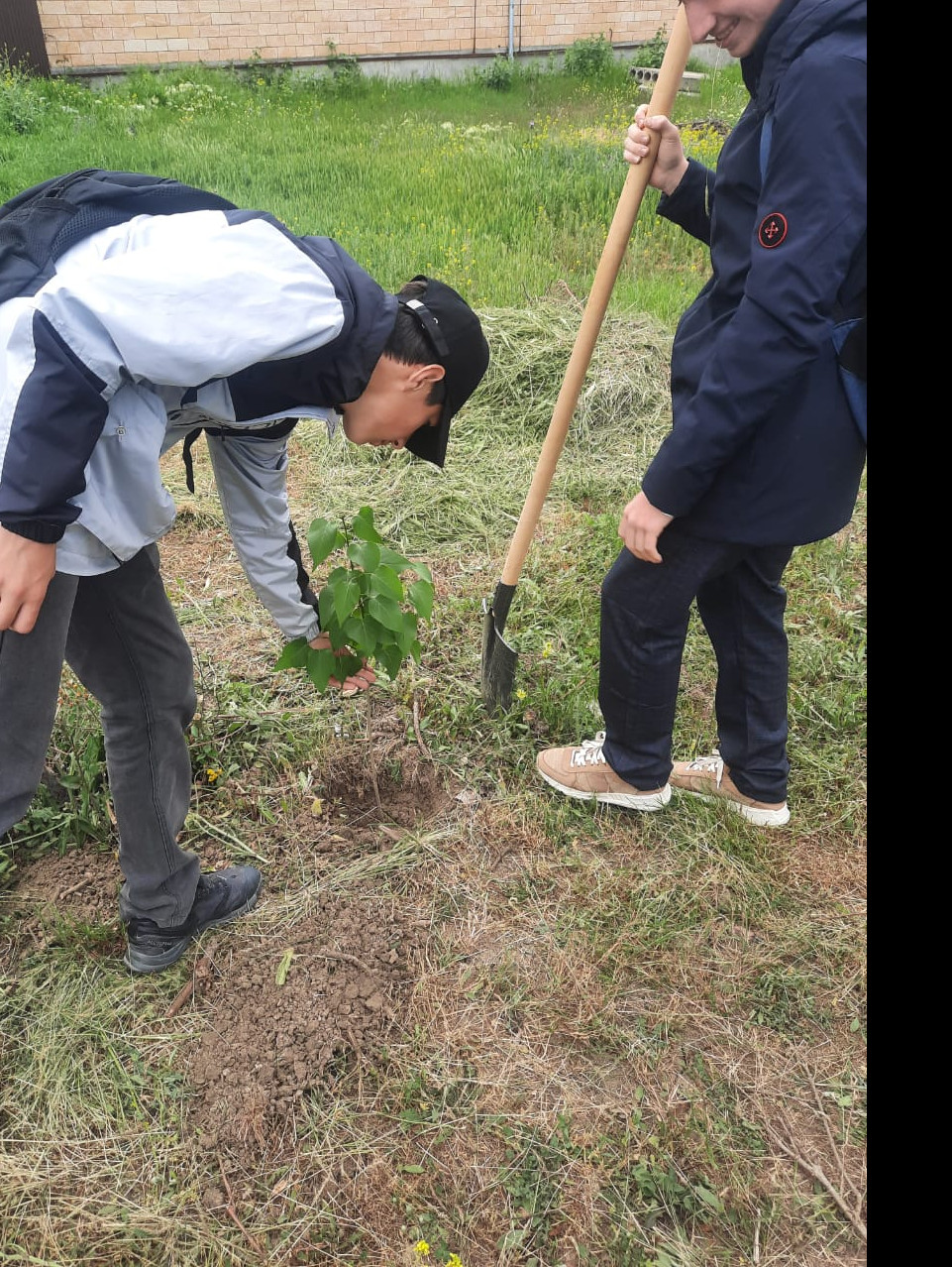 Акцию "Сирень Победы" провели учащиеся 8 в класса. Классный руководитель Рагимова Х.А.