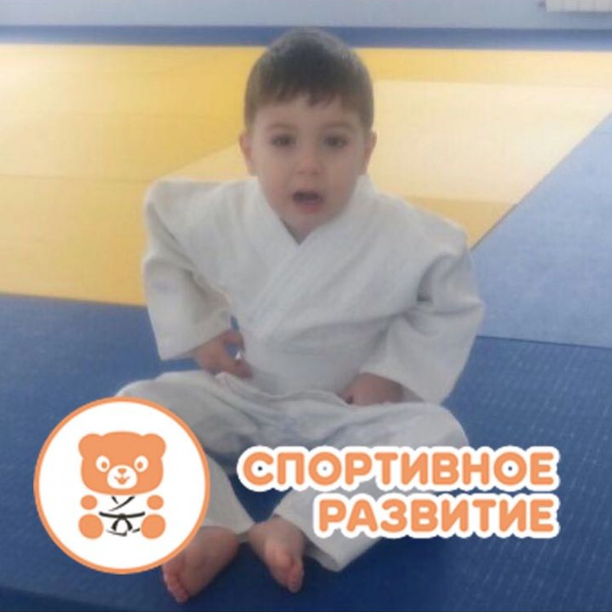 Детский сад "Дзюдошка"