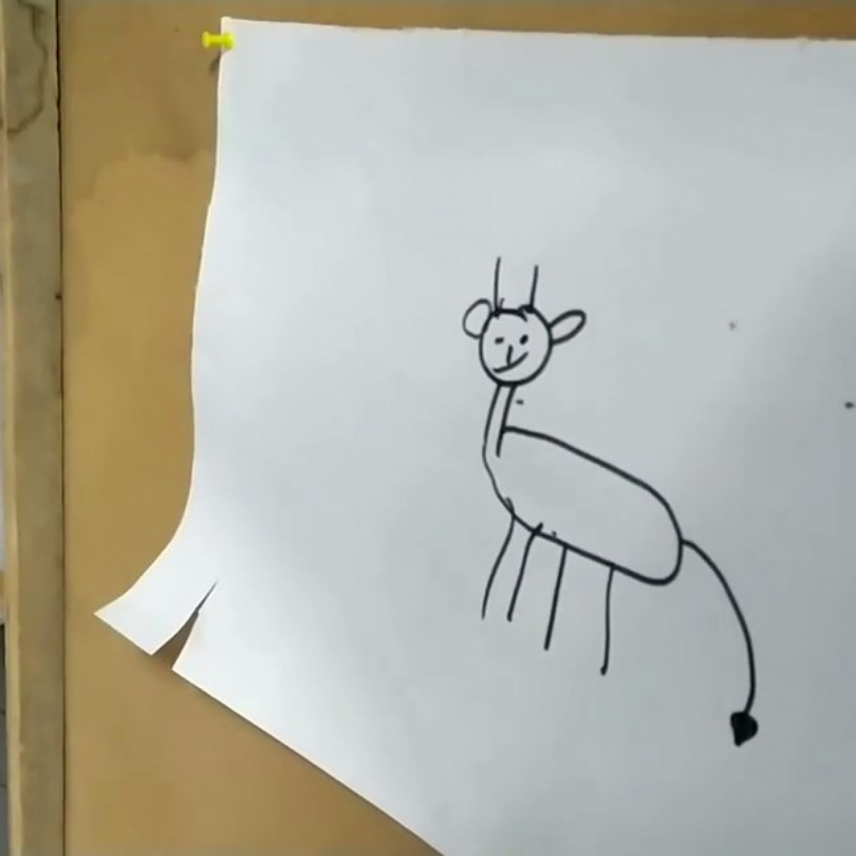 Краеведение