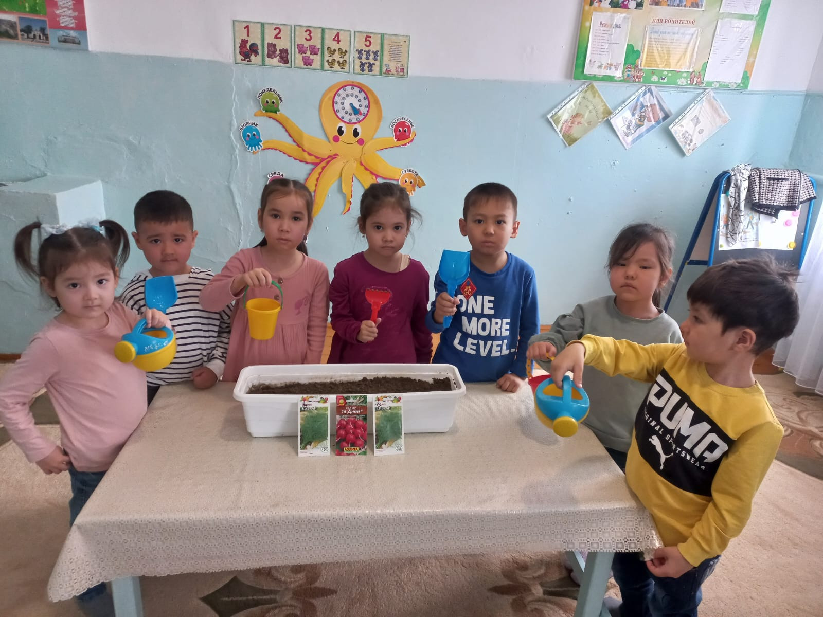 "Огород на подоконнике " средняя группа "Солнышко "