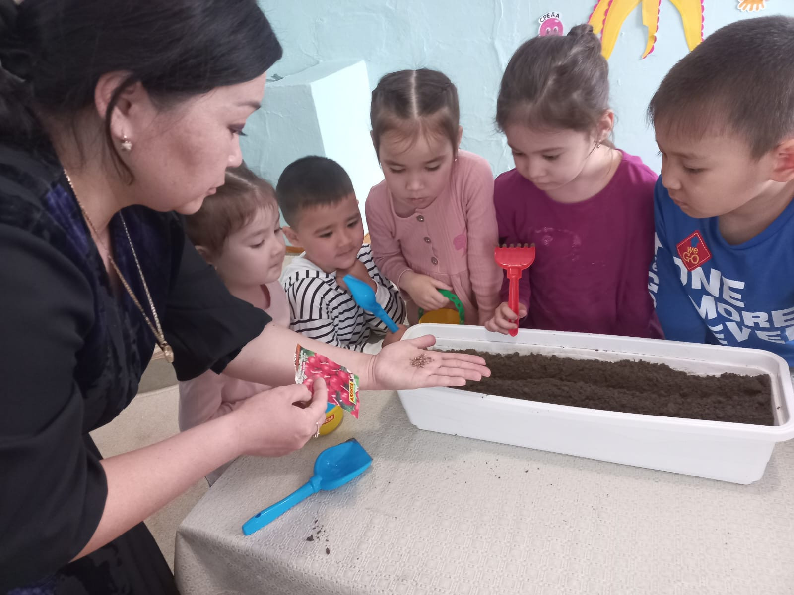 "Огород на подоконнике " средняя группа "Солнышко "