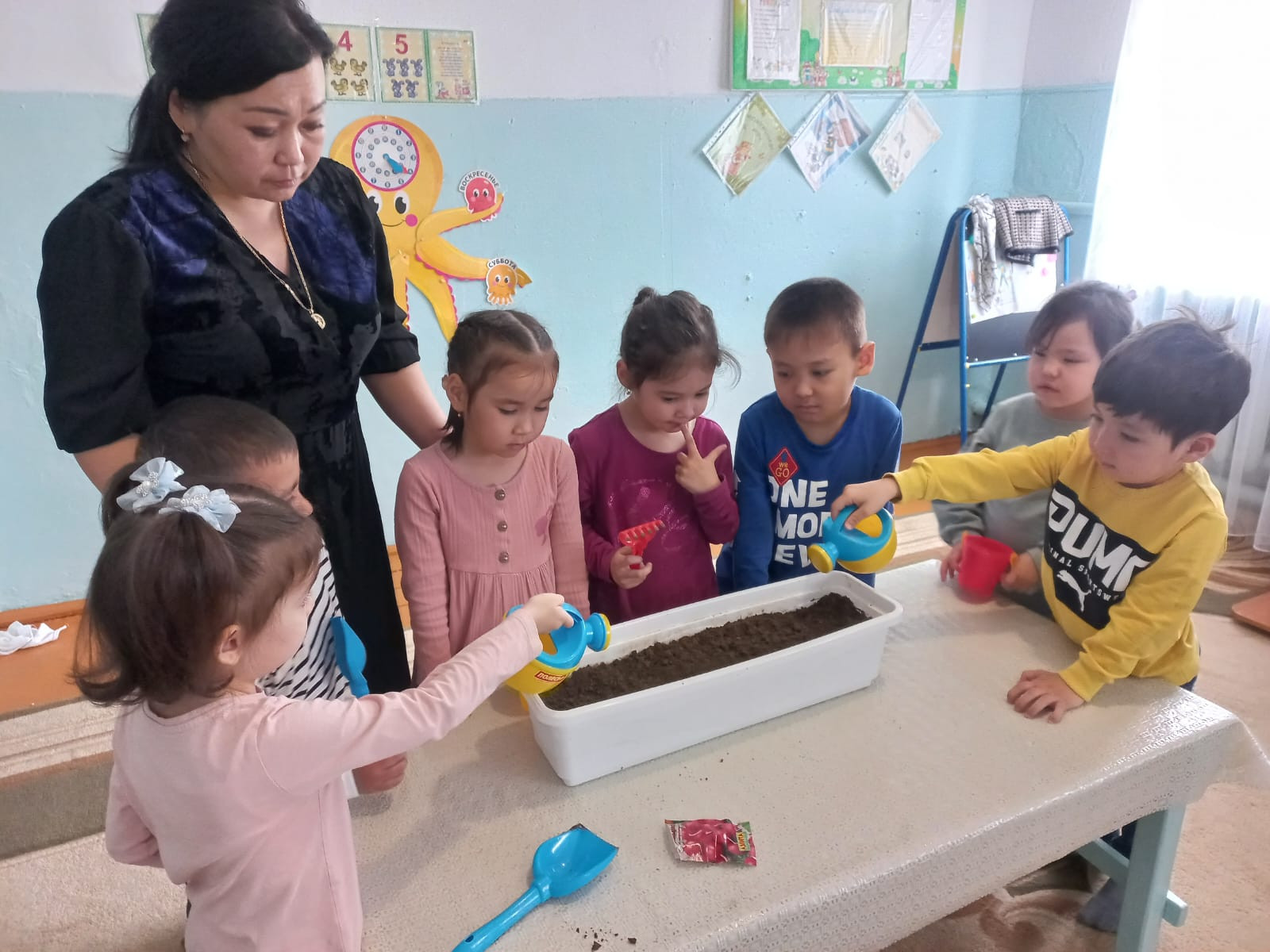 "Огород на подоконнике " средняя группа "Солнышко "