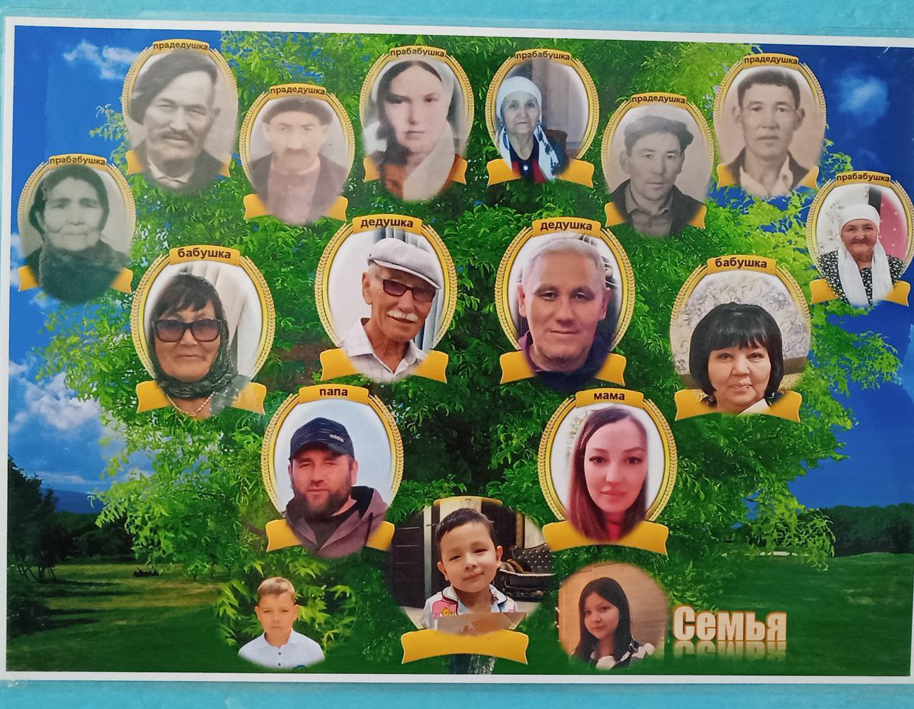 Фотовыставка "Древо семьи" в средней группе "Улыбка". Воспитатель: Шоматова Н.Э.