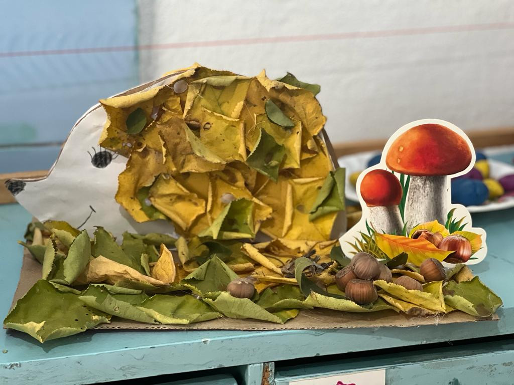 «Чудеса с осенни» «Чудеса с осенни»