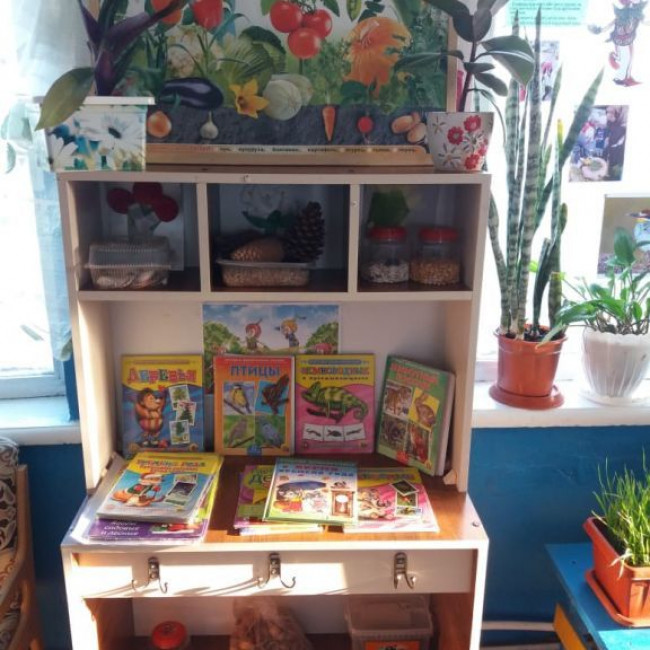 ЭКОЛЯТА - ДОШКОЛЯТА