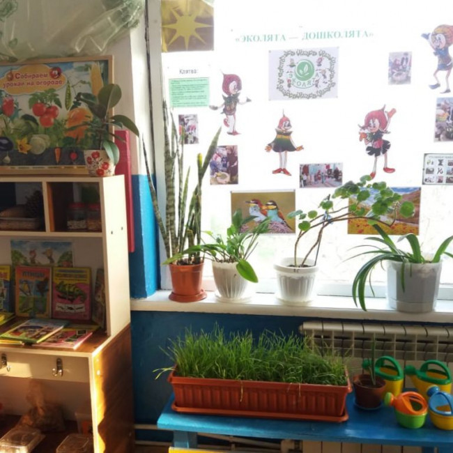 ЭКОЛЯТА - ДОШКОЛЯТА