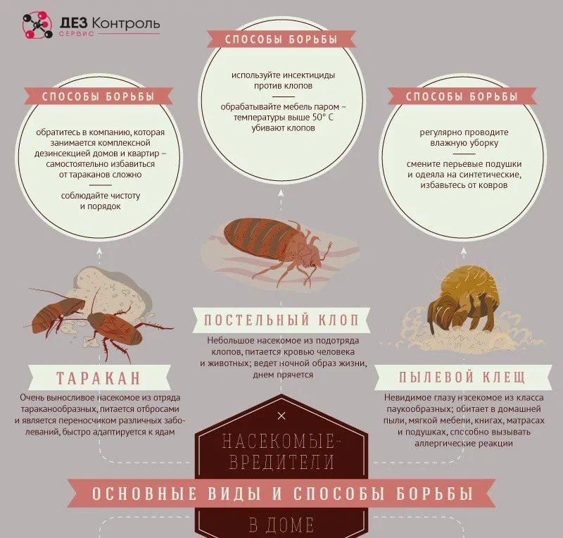 Профилактическая дезинфекция в ДОУ