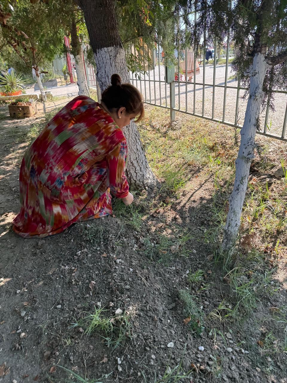 23.08.2025 г. в МБДОУ "Детский сад 26 «Родничок» состоялся субботник.