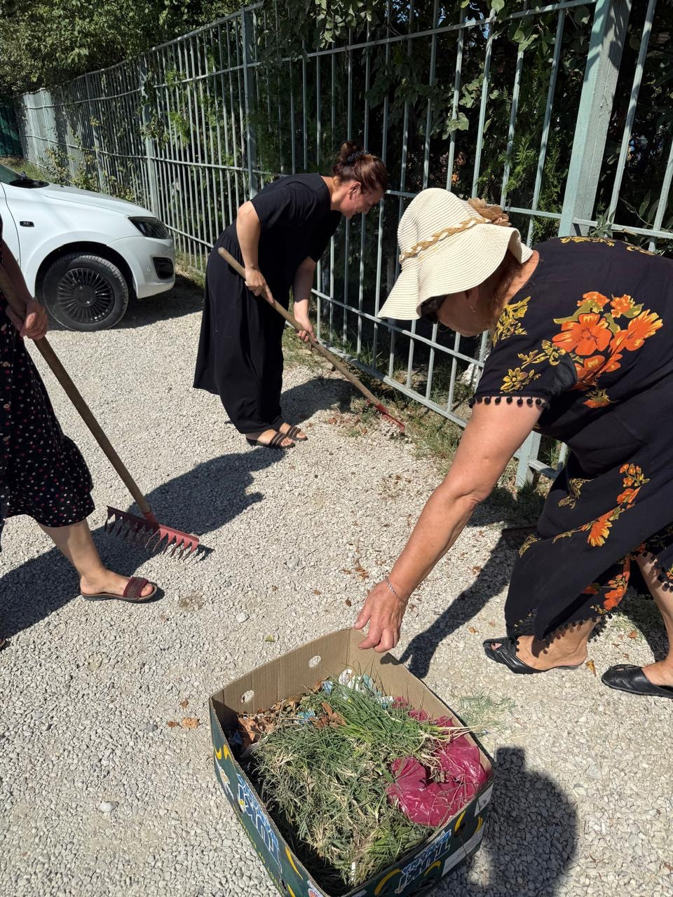 23.08.2025 г. в МБДОУ "Детский сад 26 «Родничок» состоялся субботник.