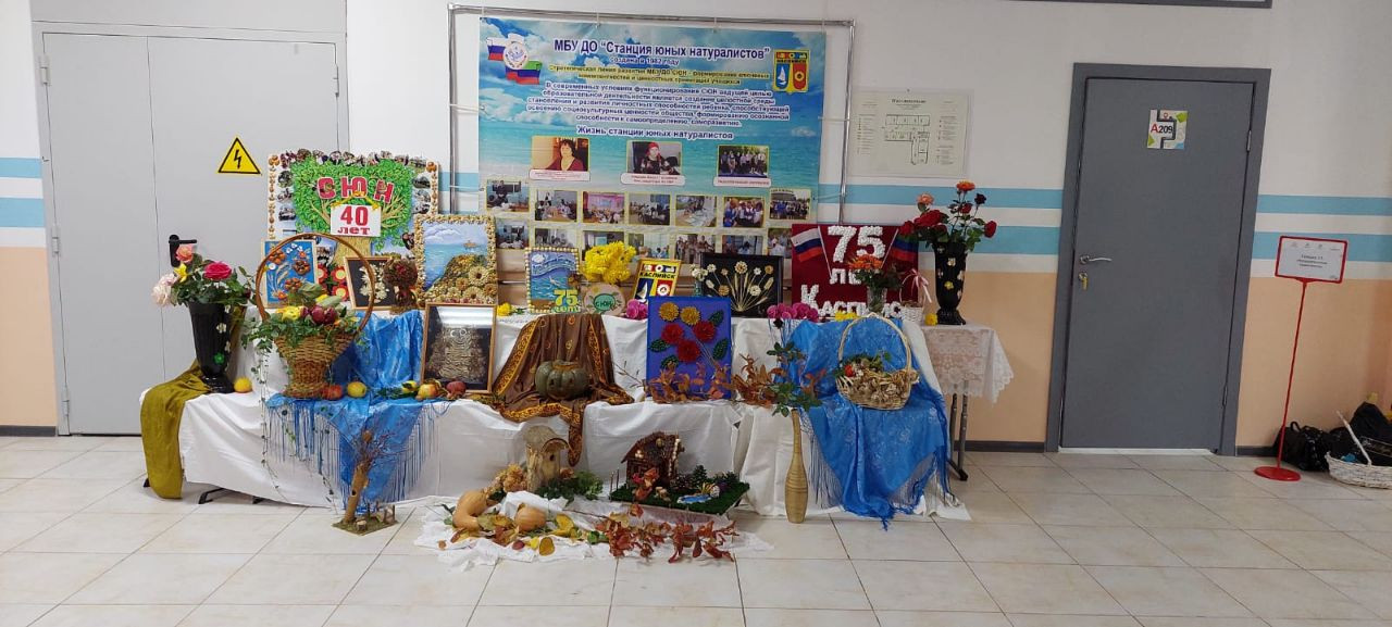 Выставка декоративно-прикладного творчества обучающихся на форуме "Дополнительное образование детей в условиях новой реальности"