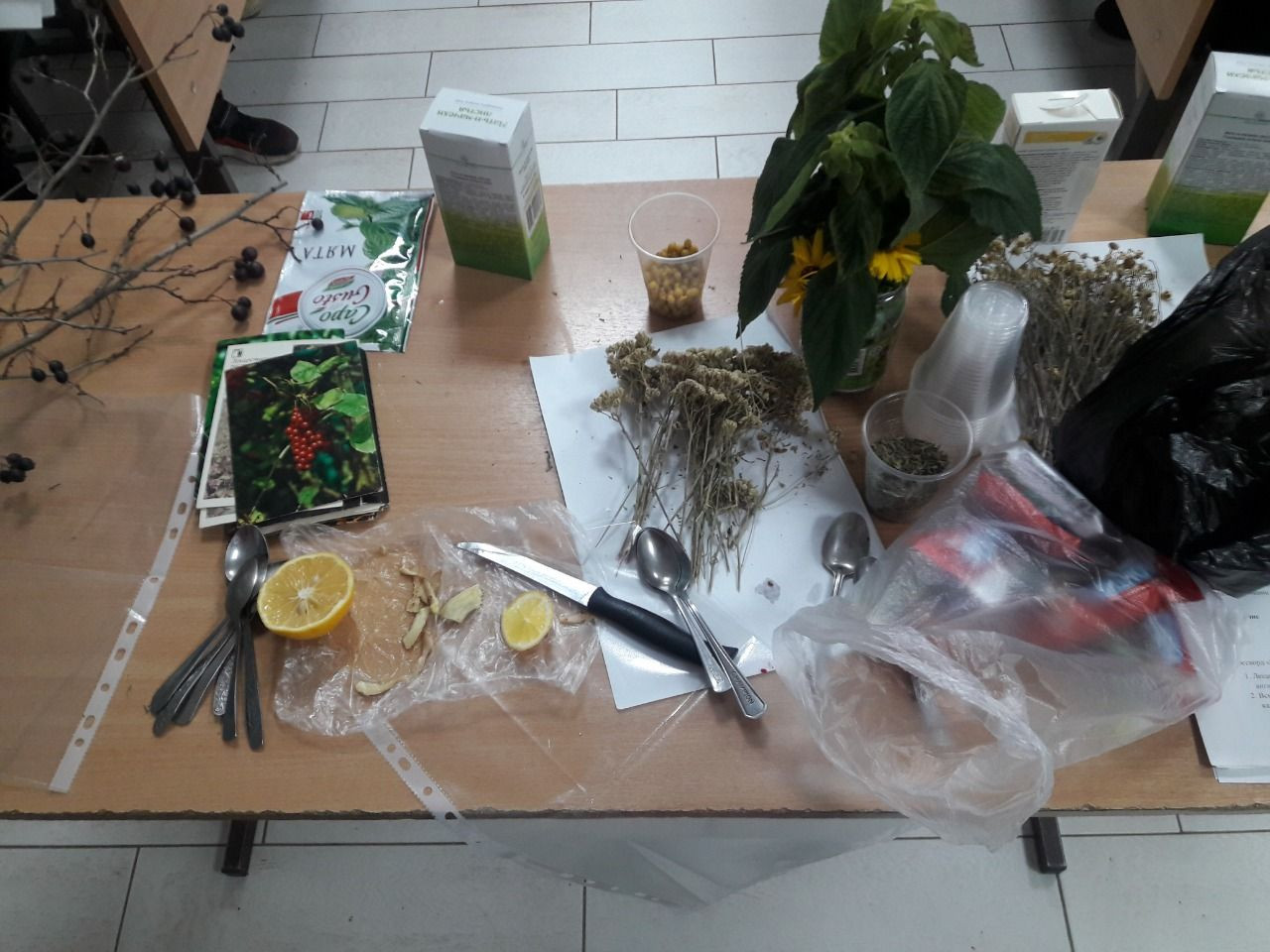 "Аптечный огород" занятие в объединении "Растениеводство"