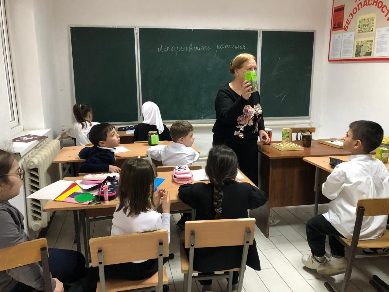 «Лекарственные растения». «Лекарственные растения».