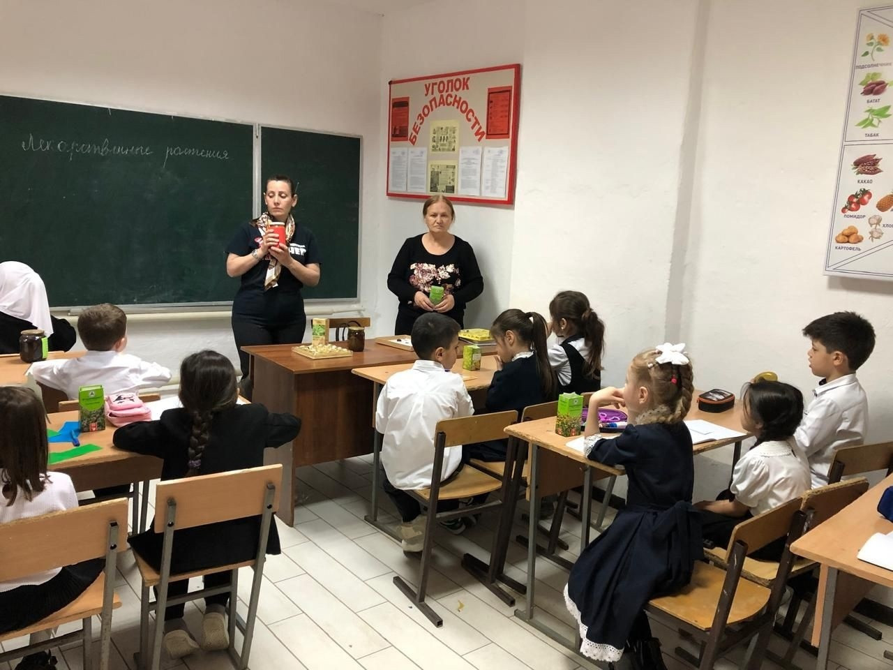 «Лекарственные растения».