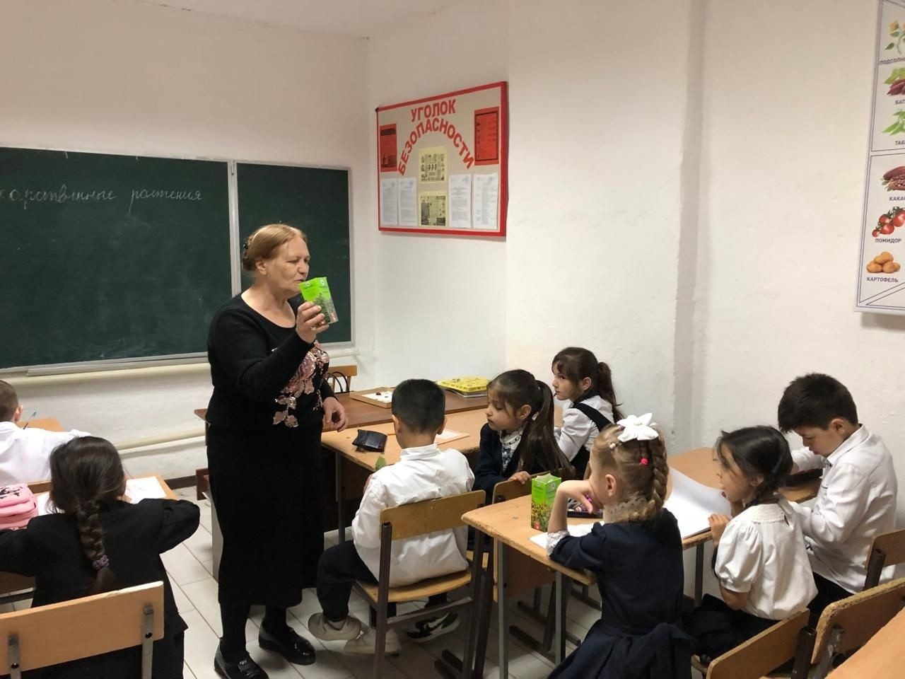 «Лекарственные растения».