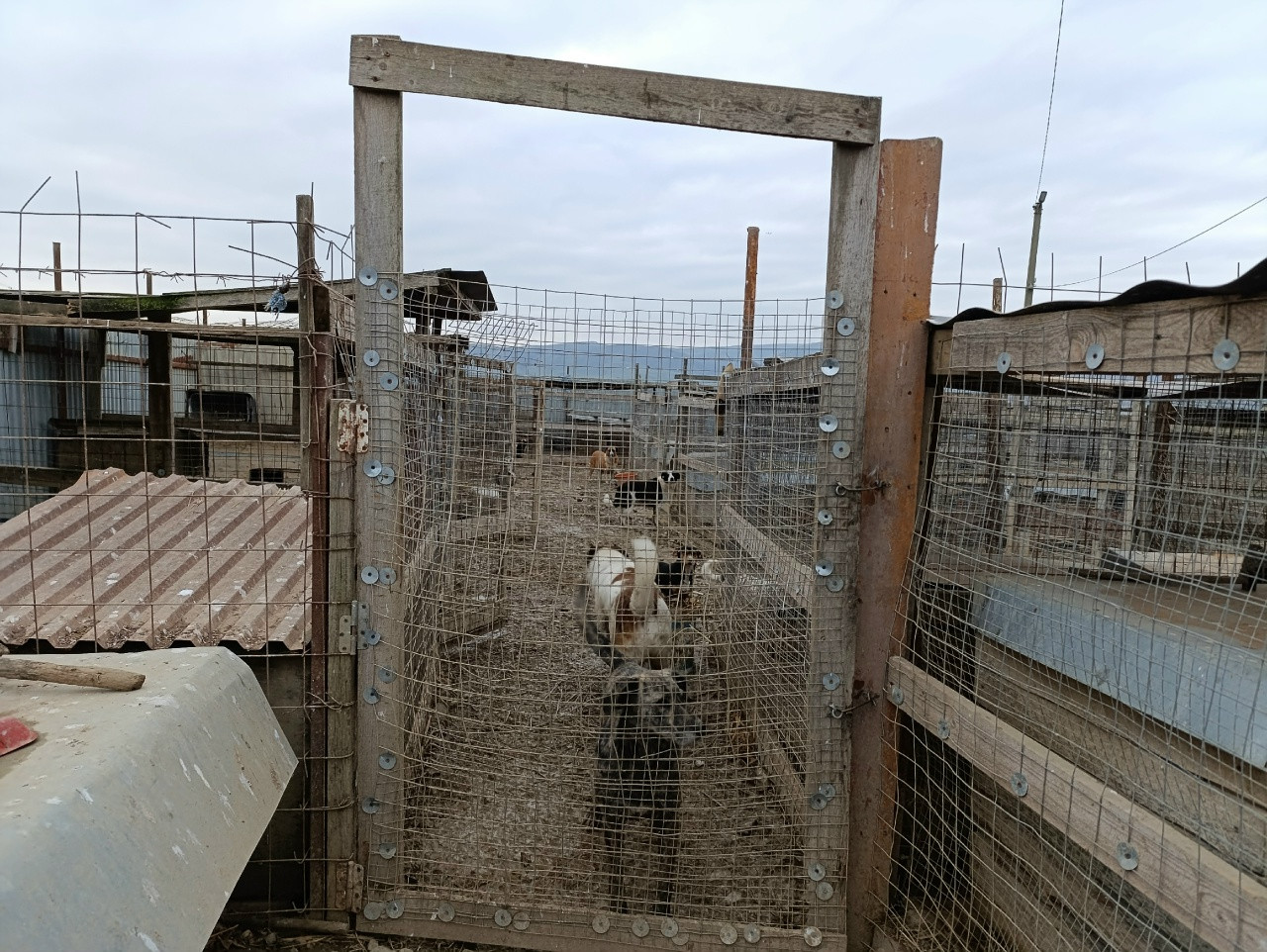 Благотворительная акция «Первые с заботой»