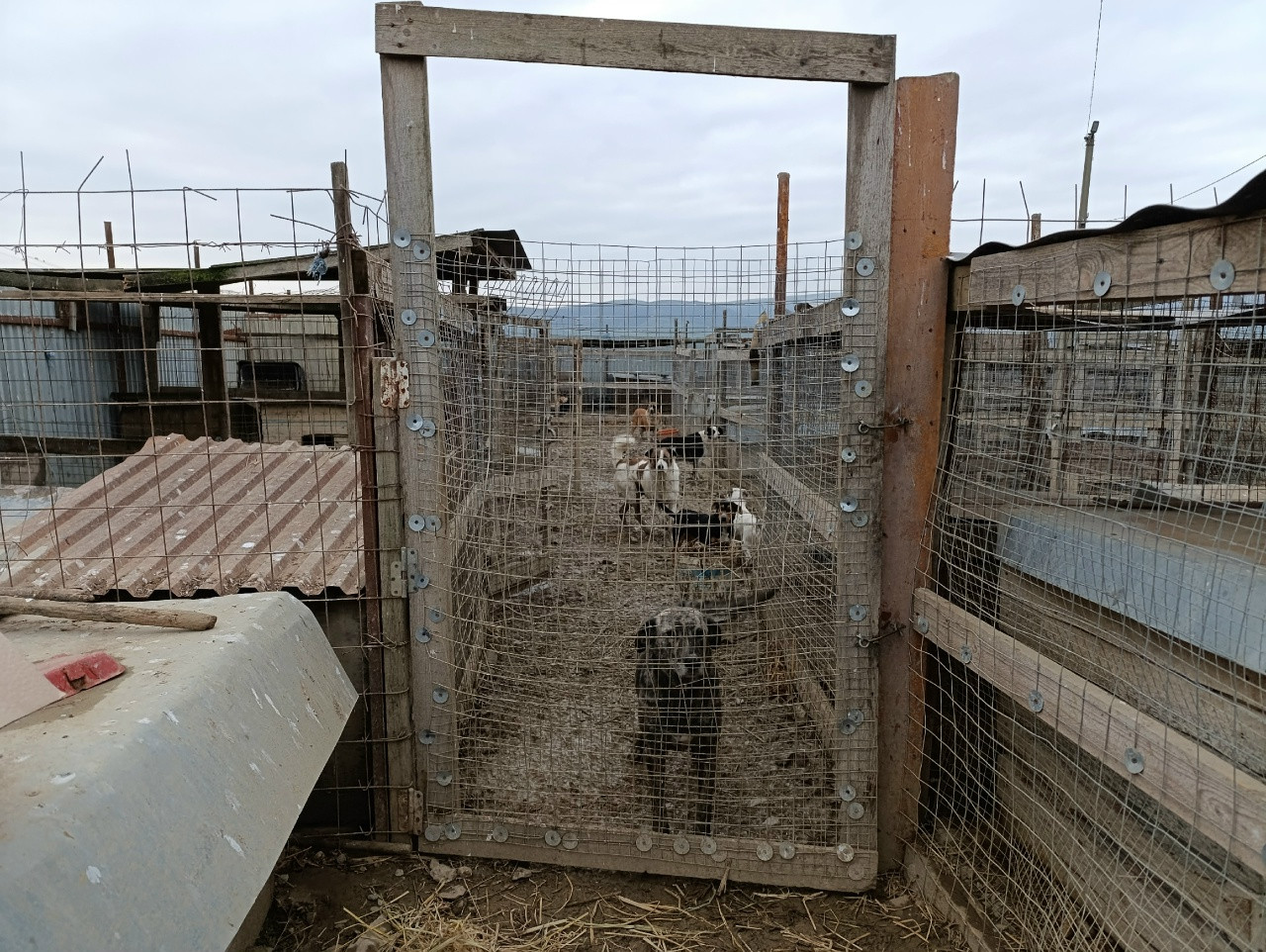 Благотворительная акция «Первые с заботой»