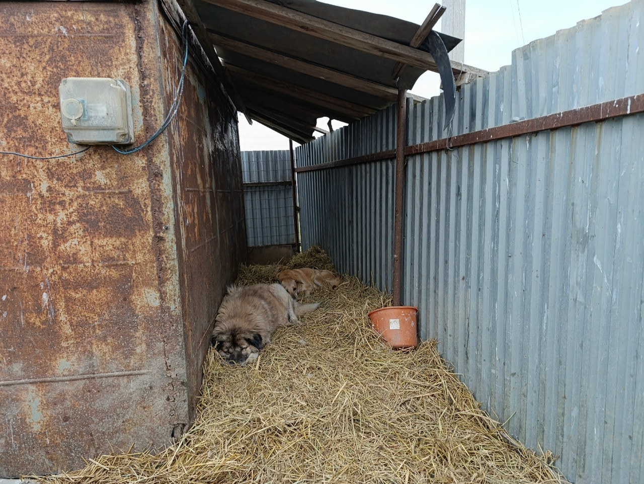 Благотворительная акция «Первые с заботой»