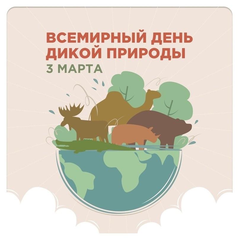 3 марта — Всемирный день дикой природы!