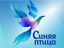 Группы ДОУ Группы ДОУ