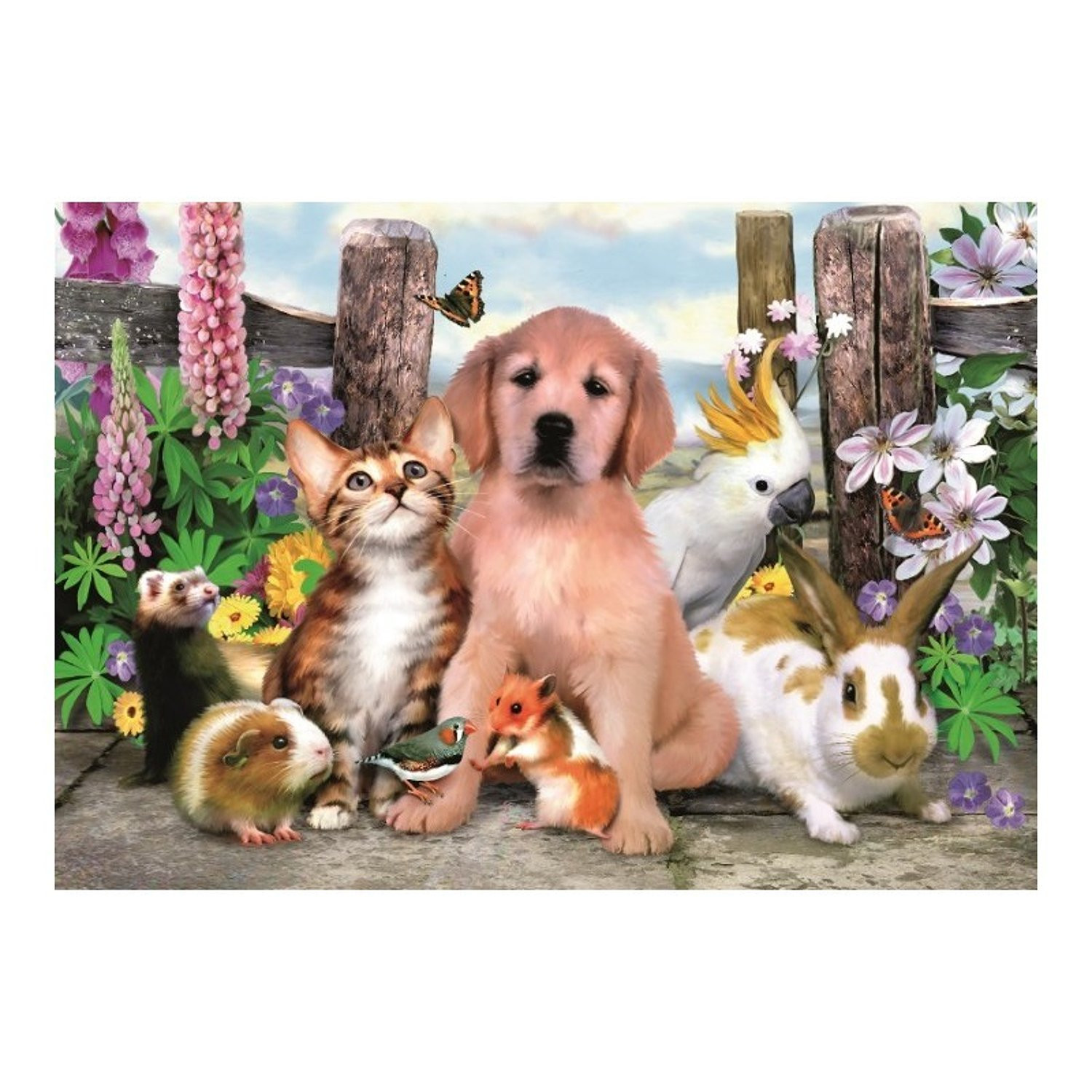 Фотовыставка к Всемирному дню домашних животных "Мой любимый питомец!"